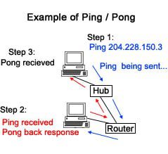 PING là gì? Test PING như thế nào?