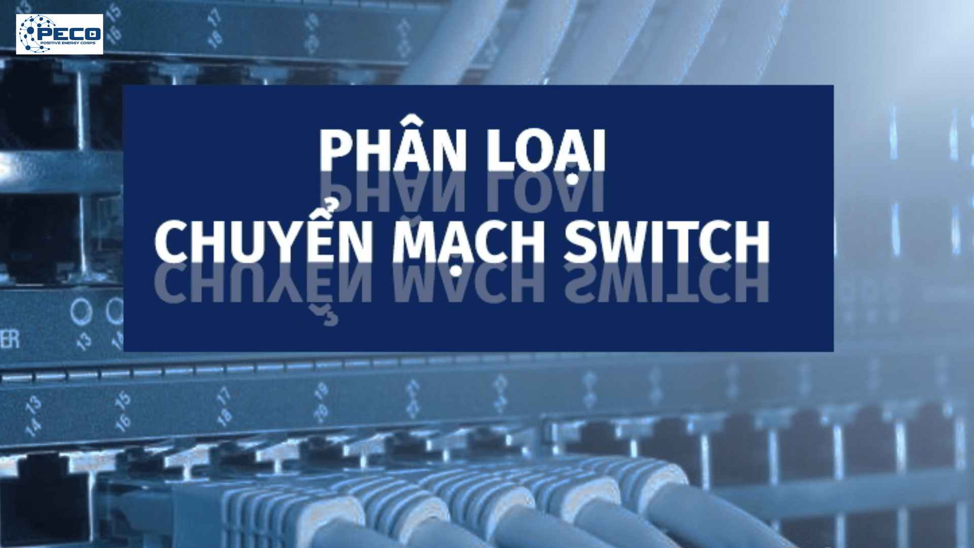 Phân loại Switch Cisco phổ biến trên thị trường hiện nay Phân loại Switch Cisco phổ biến trên thị trường hiện nay