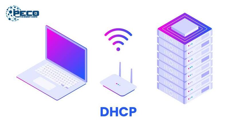 Tại sao sử dụng dịch vụ này, hãy cùng PECO tìm hiểu Tại sao sử dụng dịch vụ này, hãy cùng PECO tìm hiểu