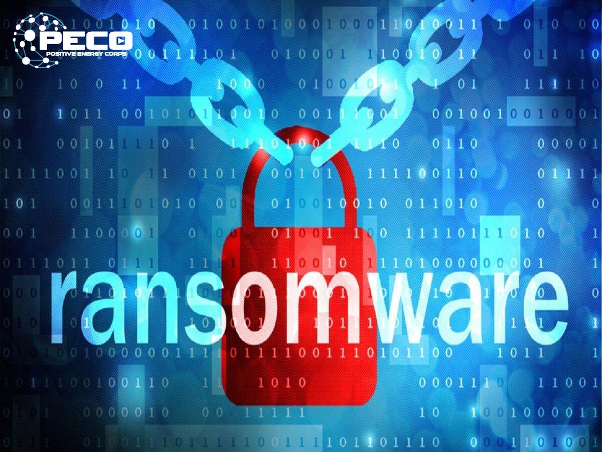 Sao lưu dữ liệu thường xuyên là việc cần làm để tránh bị nhiều loại phần mềm malware gây ảnh hưởng Sao lưu dữ liệu thường xuyên là việc cần làm để tránh bị nhiều loại phần mềm malware gây ảnh hưởng