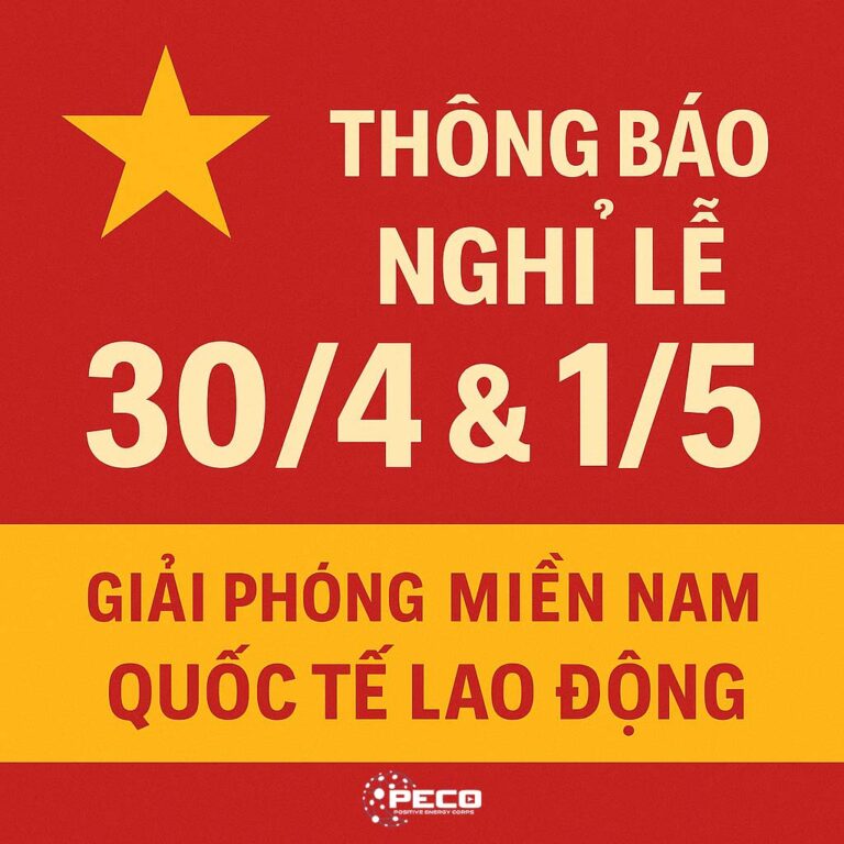 Giải phóng miền Nam và Quốc tế lao động
